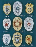 eagle top and oval shield shaped fire badges with panels