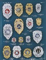 eagle top and shield badges, dispatcher, captain, firefighter, investigator, rhodium, nickel, gold plate