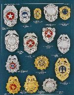 eagle top and shield fire badges, engineer, firefighter, captain, chief, corporal, sergeant, rhodium, nickel, gold plate