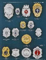 eagle top and shield fire badges, chaplain, commissioner, captain, firefighter, lieutenant, rhodium, nickel, and gold plate