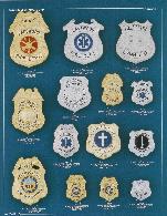 eagle top and shield fire badges, chaplain, lieutenant, chief, captain, member, paramedic, firefighter, EMS, rhodium, nickel, and gold plate