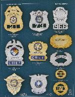 eagle top and shield fire badges, paramedic, lieutenant, chief, firefighter, pilot, wreaths, rhodium, nickel, gold plate
