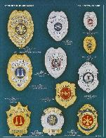 eagle top and shield shaped fire badges