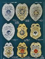 eagle top fire badges with panels