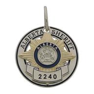 2 New Mexico COLLAR/LAPEL PINS Gold state seal Police/Fire/sheriff/EMS 15/16" NM 