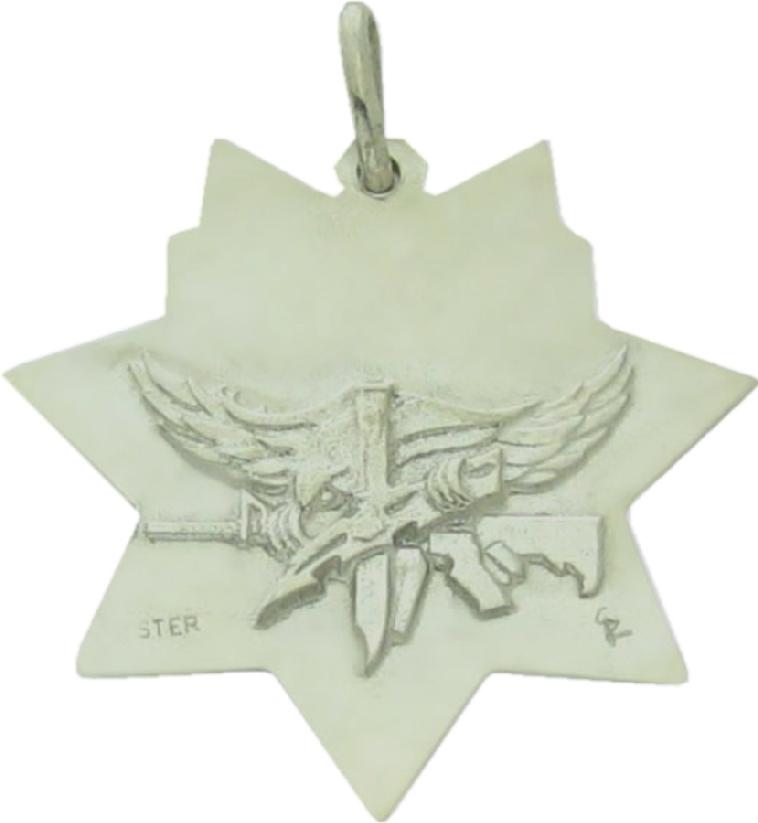 Police SWAT emblem